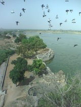 hamara