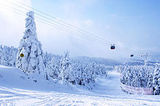 Za Ropeway