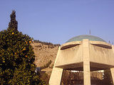 Shah Shuja (Muzaffarid)