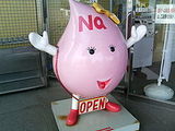 nuclear power corporation