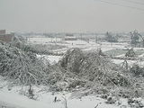 2008 Chinese winter storms