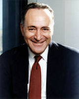new york senate
