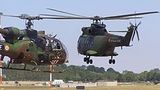 French Army Light Aviation