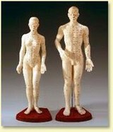 ACUPUNCTURE ACUPRESSURE