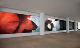 IAC Video Wall