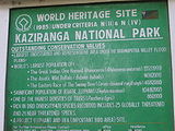 hazarika