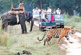 Kanha National Park