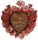 LOVE'S IS TRUE HERE
