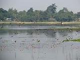 majestic Assam and Meghalaya