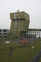 international business school