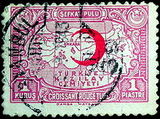 international federation of red cross