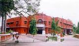 Meerut College