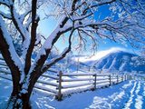 snow