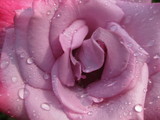 indranil
