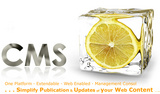 CMS Website Development