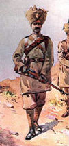 naushera