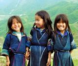 Vietnam discovery