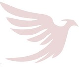 tata international