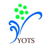 Yes Online Technology Services