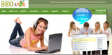 seo service in delhi 7827239739