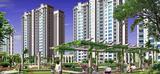Amrapali Heartbeat City Noida