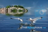 personal page - My Personal Page
