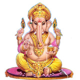 surti - Seva Insurance
