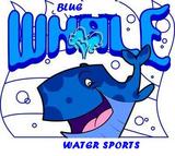 blue whale water sports