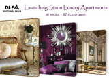 DLF New Project Sector 82A Gurgaon