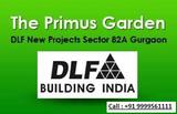 DLF The Primus Gurgaon