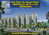 Nimbus Palm Village