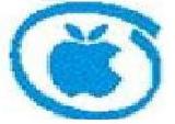 intel corporation