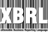 xbrl filing services Delhi Gurgaon Noida Ghaziabad Faridabad India.