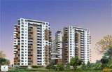 Vaswani Brentwood