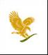 Forever Living Products