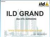 Gurgaon ILD Grand Original Booking