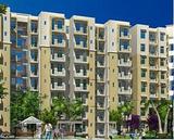 Rajiv Reality homes
