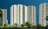 Stellar Group Jeevan Greater Noida Uniconproperty.com