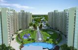 Orris Aster Court