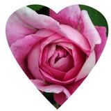 i mis you