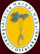 Alpine Herbal Hub
