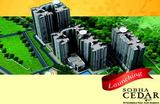Sobha Cedar