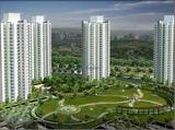 Rg Luxury Homes