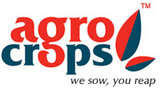 Indian Spices Exporters in India