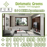 Puri Builders Gurgaon