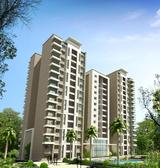 sobha