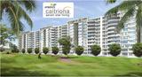Ambience Caitriona Gurgaon NH 8