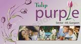 Tulip Purple Sector 69 Gurgaon