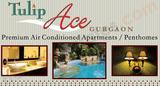 Tulip Ace Sector 89 Gurgaon