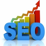 SEO Service Provider
